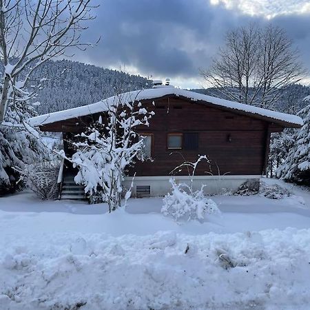 הוילה Ban-sur-Meurthe-Clefcy Chalet Situe Au Grand Valtin מראה חיצוני תמונה