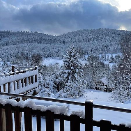 הוילה Ban-sur-Meurthe-Clefcy Chalet Situe Au Grand Valtin מראה חיצוני תמונה