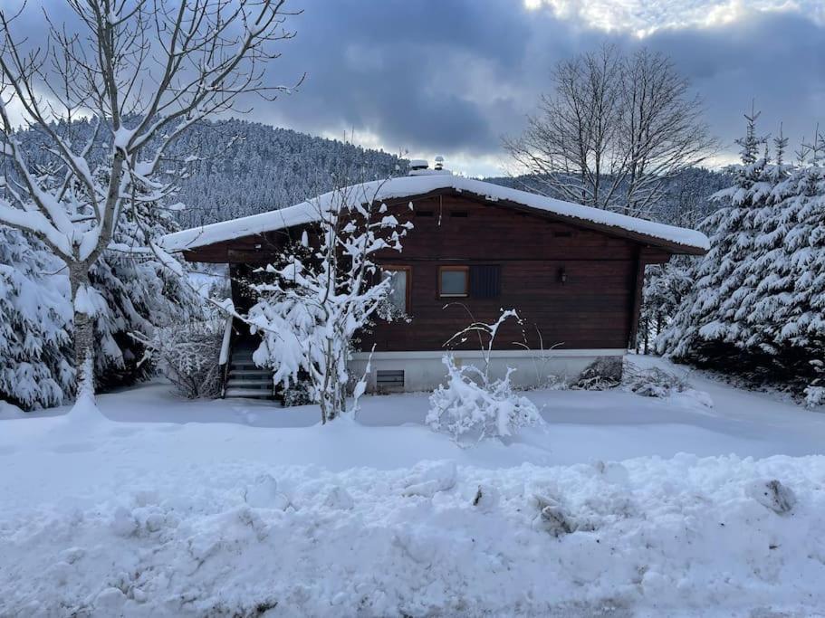 הוילה Ban-sur-Meurthe-Clefcy Chalet Situe Au Grand Valtin מראה חיצוני תמונה