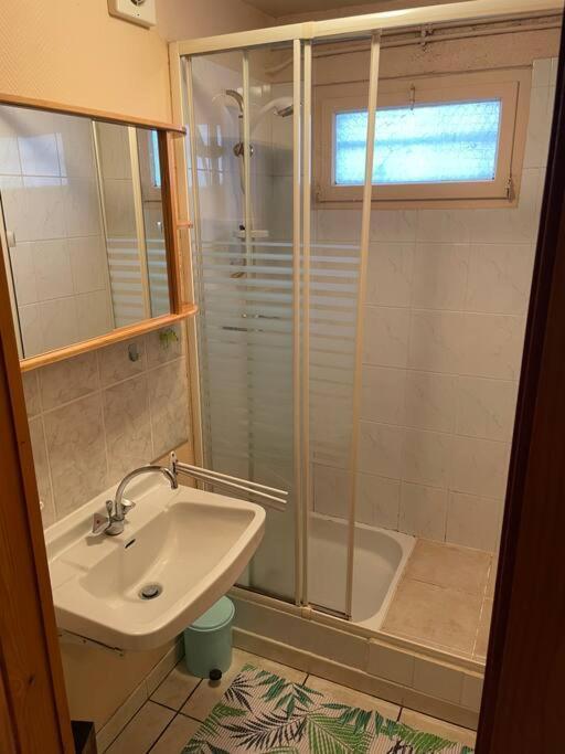 הוילה Ban-sur-Meurthe-Clefcy Chalet Situe Au Grand Valtin מראה חיצוני תמונה